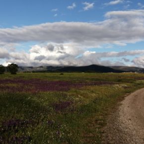 Ciudadanos Basardilla critica las condiciones “abusivas” del nuevo contrato de arrendamiento de la Dehesa municipal