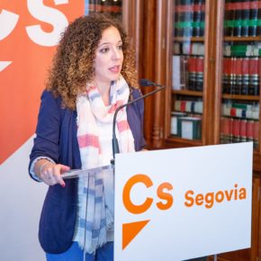Otero (Cs): “Es intolerable que el equipo de gobierno se tome a la ligera el Plan Anual Normativo del Ayuntamiento de Segovia”