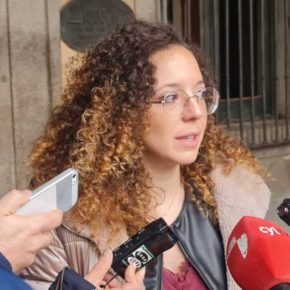 Otero (Cs): “Es lamentable que PSOE e IU pretendan ventilar el accidente de la Constitución con una simple dación de cuenta”
