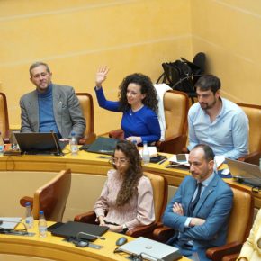 Otero (Cs): “Hemos sido el altavoz de los colectivos de la ciudad y lo hemos conseguido plasmar en los presupuestos” Otero (Cs): “Hemos sido el altavoz de los colectivos de la ciudad y lo hemos conseguido plasmar en los presupuestos”