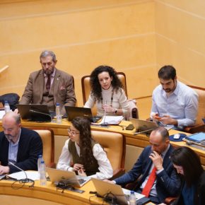 Ciudadanos logra el respaldo del Pleno para modificar el reglamento del taxi y critica la falta de compromiso del equipo de gobierno con el sector