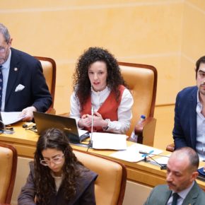 Ciudadanos vuelve a poner en duda la capacidad de gestión del gobierno municipal tras un Pleno sin contenido