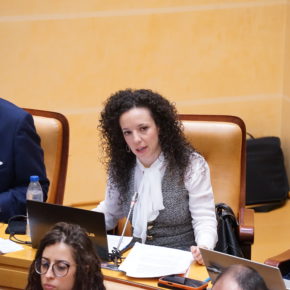 Ciudadanos logra el apoyo unánime del Pleno para reorganizar el área de Urbanismo y reclama soluciones reales ante los retrasos en licencias