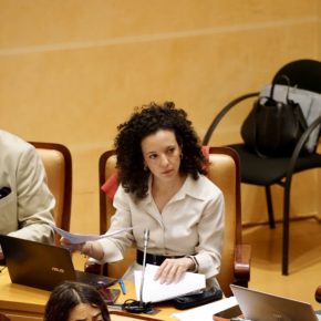 Ciudadanos critica la soberbia del gobierno en el debate de la ordenanza de visitas guiadas