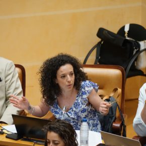Ciudadanos destaca la incorporación definitiva de los bonos comercio en la agenda municipal tras la aprobación de una cuantía de 300.000 euros en el Pleno