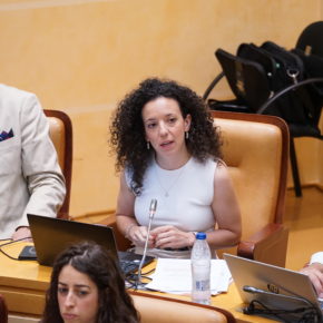Otero (Cs): "La ORA necesita una renovación profunda para adaptarse a la Segovia de hoy"